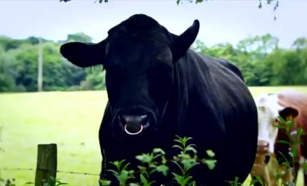 Farming Scene 1